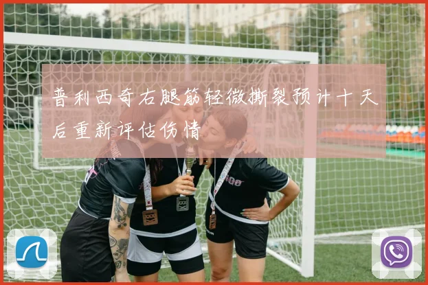 普利西奇右腿筋轻微撕裂预计十天后重新评估伤情